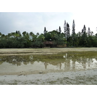 照片 新喀里多尼亚(New Caledonia) 松树岛(Ile des pins) 奥罗湾(Oro Bay) 2010-05 24