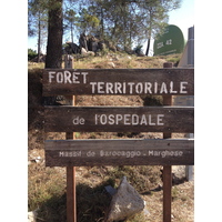 照片 法国(France) 科西嘉岛(Corsica) 奥斯佩达莱森林(L'ospedale Forest) 2012-09 67