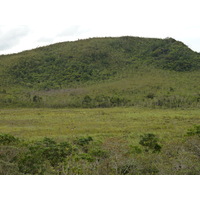 照片 新喀里多尼亚(New Caledonia) 蓝河公园(Parc de la Riviere Bleue) 2010-05 51