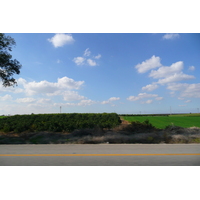 照片 以色列(Israel) 特拉维夫至贝尔谢巴公路(Tel Aviv to Beer Sheva road) 2007-12 8