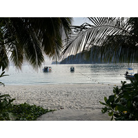照片 泰国(Thailand) 大皮皮岛(Ko Phi Phi Don) 2021-12 55