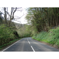 照片 英国(United Kingdom) 瓦伊河谷(Wye Valley) 2006-05 24