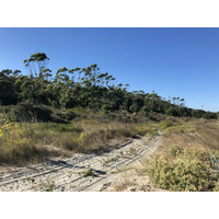 照片 法国(France) 科西嘉岛(Corsica) 圣朱利亚诺(San Giuliano) 2018-09 10