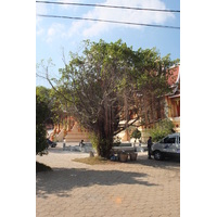 照片 老挝(Laos) 万象(Vientiane) 2012-12 271