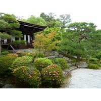照片 日本(Japan) 京都(Kyoto) 仁和寺御殿(Ninna ji imperial Residence) 2010-06 81