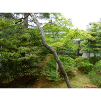 照片 日本(Japan) 京都(Kyoto) 仁和寺御殿(Ninna ji imperial Residence) 2010-06 96