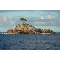 照片 塞舌尔(Seychelles) 2011-10 60