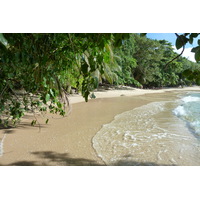 照片 塞舌尔(Seychelles) 马埃岛(Mahe) 2011-10 239