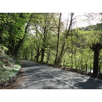 照片 英国(United Kingdom) 瓦伊河谷(Wye Valley) 2006-05 15