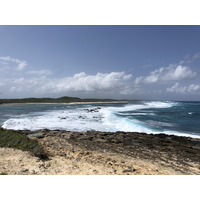 照片 瓜德罗普(Guadeloupe) 城堡角(Castle Point) 2021-02 340