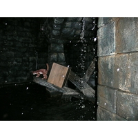 照片 法国(France) 巴黎迪士尼乐园(Disneyland Paris) 加勒比海盗(Pirates of the caribbean) 2007-07 56