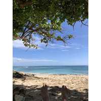 照片 瓜德罗普(Guadeloupe) 曼加瑙酒店(Le Manganao Hotel) 2021-02 107