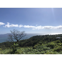 照片 瓜德罗普(Guadeloupe) 三河城(Trois Rivieres) 2021-02 4