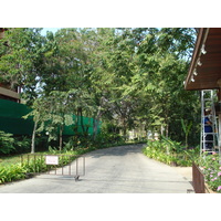 照片 泰国(Thailand) 芭提雅(Pattaya) 芭提雅二路(Pattaya 2nd road) 2008-01 99