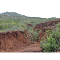 照片 新喀里多尼亚(New Caledonia) 蓝河公园(Parc de la Riviere Bleue) 2010-05 53