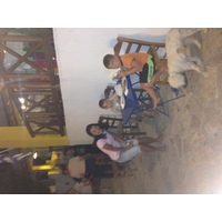 照片 希腊(Greece) 库福尼西亚群岛(Koufonissia) 2014-07 496