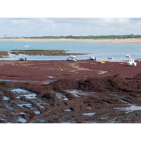照片 法国(France) 圣伊莱尔德里耶(Saint Hilaire de Riez) 2012-07 34