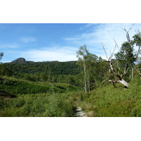 照片 英国(United Kingdom) 特罗萨克斯(The Trossachs) 2011-07 66