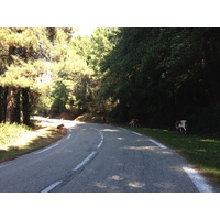 照片 法国(France) 科西嘉岛(Corsica) 宗扎(Zonza) 2012-09 13