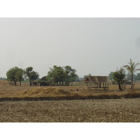 照片 缅甸(Myanmar) 土瓦(Dawei (TAVOY)) 2005-01 15