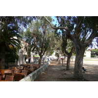 照片 法国(France) 波克罗勒岛(Porquerolles Island) 波克罗勒(Porquerolles) 2008-05 44