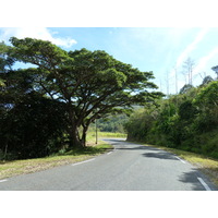 照片 新喀里多尼亚(New Caledonia) 通图塔至蒂奥公路(Tontouta to Thio road) 2010-05 71