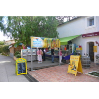 照片 法国(France) 波克罗勒岛(Porquerolles Island) 波克罗勒(Porquerolles) 2008-05 31
