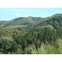 照片 新喀里多尼亚(New Caledonia) 通图塔至蒂奥公路(Tontouta to Thio road) 2010-05 63