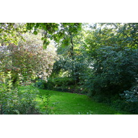 照片 法国(France) 巴黎(Paris) 巴黎植物园(Jardin des Plantes) 2007-08 137