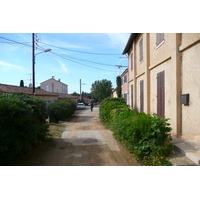 照片 法国(France) 波克罗勒岛(Porquerolles Island) 波克罗勒(Porquerolles) 2008-05 13