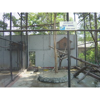 照片 缅甸(Myanmar) 仰光(Yangon) 2005-01 148