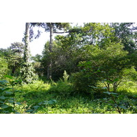 照片 法国(France) 巴黎(Paris) 巴黎植物园(Jardin des Plantes) 2007-08 129
