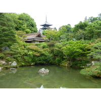 照片 日本(Japan) 京都(Kyoto) 仁和寺御殿(Ninna ji imperial Residence) 2010-06 41