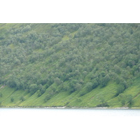 照片 英国(United Kingdom) 韦斯特罗斯(Wester Ross) 2011-07 51
