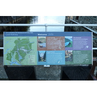 照片 英国(United Kingdom) 特罗萨克斯(The Trossachs) 2011-07 104