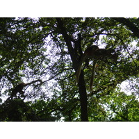 照片 法国(France) 布朗费尔(Branfere) 2004-08 2