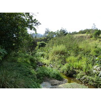 照片 新喀里多尼亚(New Caledonia) 通图塔至蒂奥公路(Tontouta to Thio road) 2010-05 138