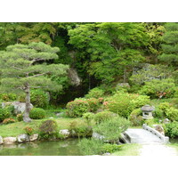 照片 日本(Japan) 京都(Kyoto) 仁和寺御殿(Ninna ji imperial Residence) 2010-06 35