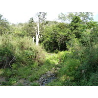 照片 新喀里多尼亚(New Caledonia) 通图塔至蒂奥公路(Tontouta to Thio road) 2010-05 128