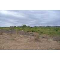 照片 南非(South Africa) 克鲁格国家公园(Kruger National Park) 萨布尔河(Sable River) 2008-09 75