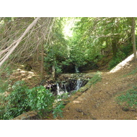照片 意大利(Italy) 帕拉维奇诺别墅(Villa Pallavicino) 2009-06 26