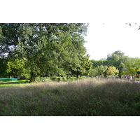 照片 法国(France) 巴黎(Paris) 巴黎植物园(Jardin des Plantes) 2007-08 145