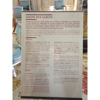 照片 法国(France) 凡尔赛(Versailles) 凡尔赛宫(Versailles Palace) 2014-03 61