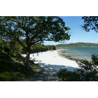 照片 英国(United Kingdom) 苏格兰(Scotland) 阿里塞格海岸(Arisaig coast) 2011-07 35