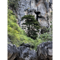 照片 泰国(Thailand) 甲米(Krabi) 2023-01 292
