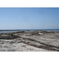照片 法国(France) 勒克鲁瓦西克(Le Croisic) 2006-08 27