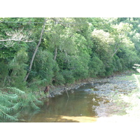 照片 新喀里多尼亚(New Caledonia) 通图塔至蒂奥公路(Tontouta to Thio road) 2010-05 17