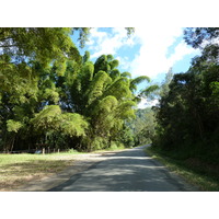 照片 新喀里多尼亚(New Caledonia) 2010-05 16