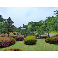 照片 日本(Japan) 京都(Kyoto) 二条城(Nijo Castle) 2010-06 131
