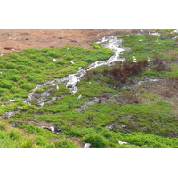 照片 摩洛哥(Morocco) 拉巴特(Rabat) 2008-07 72
